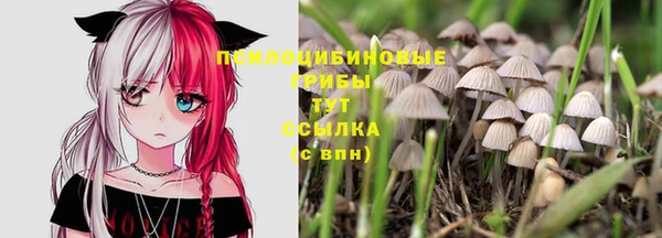 МДПВ Баксан